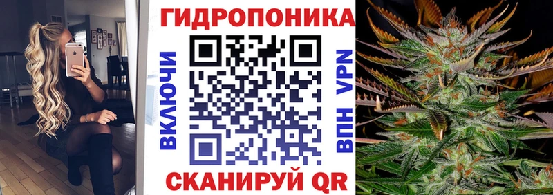 Купить закладку Alpha-PVP  Мефедрон  Гашиш  Каннабис  Новокузнецк