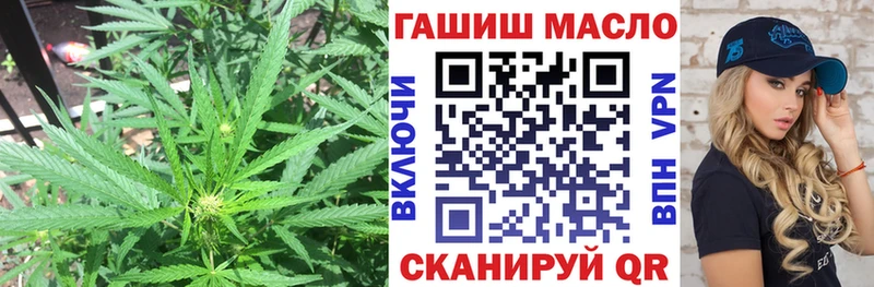 Дистиллят ТГК Wax  Купить закладки  Новокузнецк 