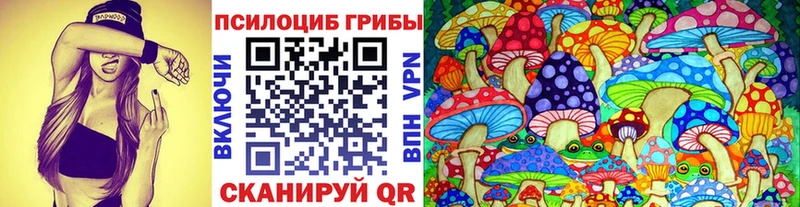 Купить  Новокузнецк  Псилоцибиновые грибы прущие грибы 